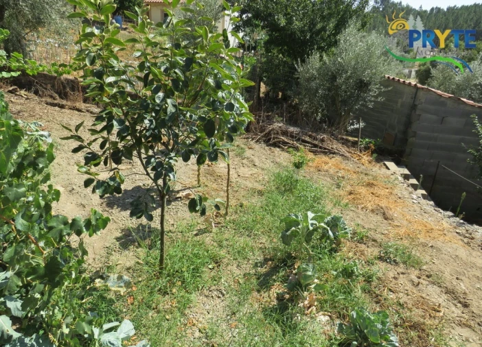 Moradia T3 para Venda em Sertã Foto 108