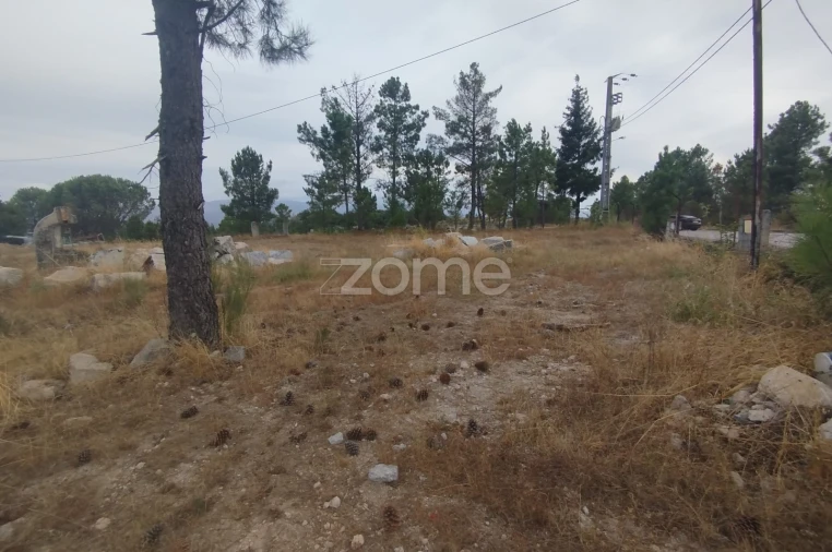 Terreno para Venda em Mangualde, Mesquitela e Cunha Alta Foto 7