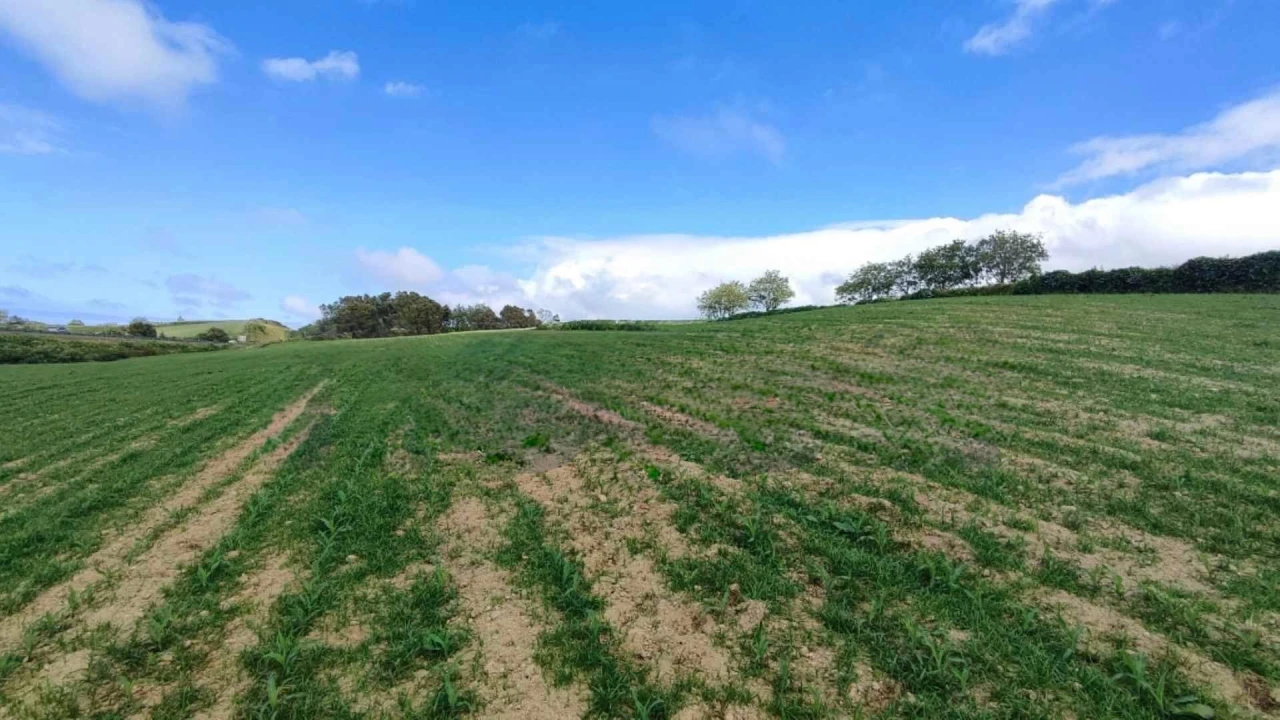 Terreno Agricola ou Rústico para Venda em Fenais da Ajuda Foto 2