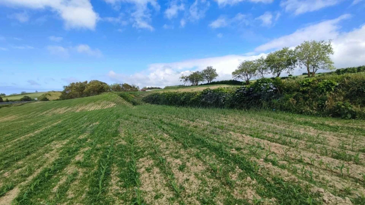 Terreno Agricola ou Rústico para Venda em Fenais da Ajuda Foto 4