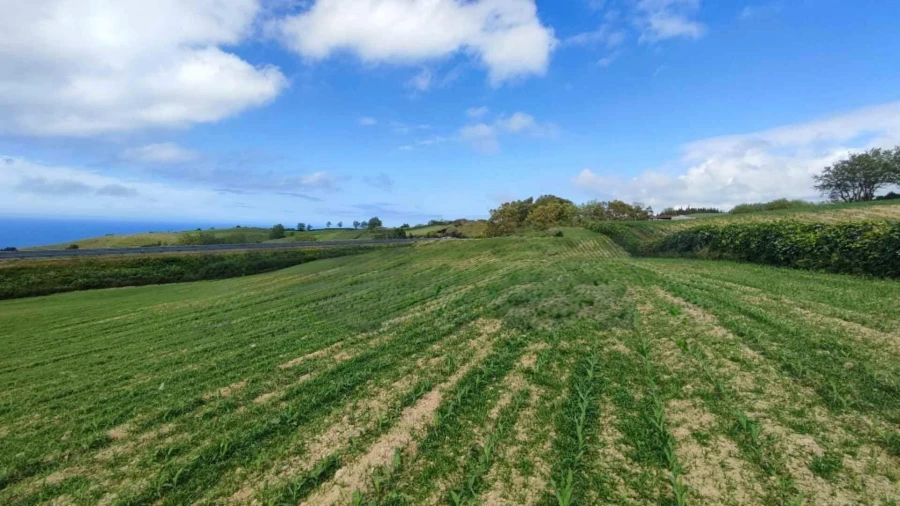 Terreno Agricola ou Rústico para Venda em Fenais da Ajuda