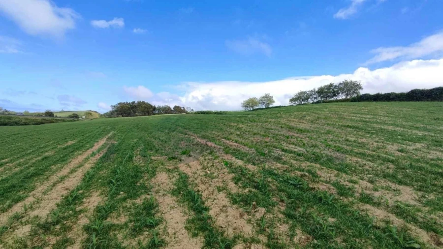 Terreno Agricola ou Rústico para Venda em Fenais da Ajuda Foto 2