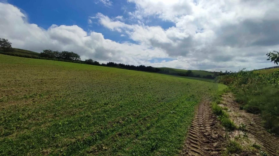 Terreno Agricola ou Rústico para Venda em Fenais da Ajuda Foto 5