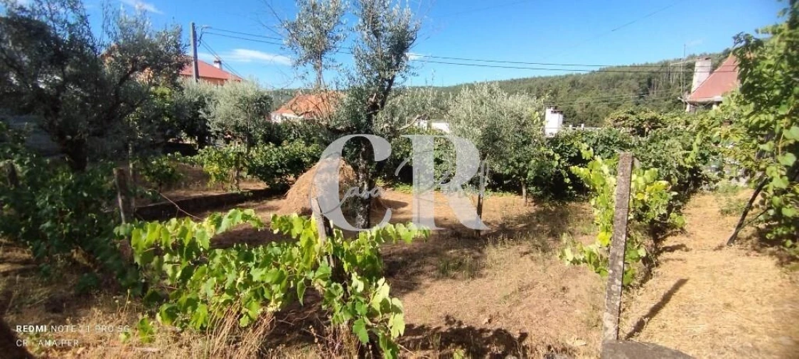 Moradia T2 para Venda em Pedrogão Grande Foto 53