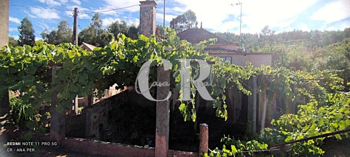 Moradia T2 para Venda em Pedrogão Grande Foto 66