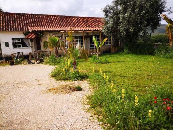 Moradia T3 para Venda em Arrimal e Mendiga Foto 3