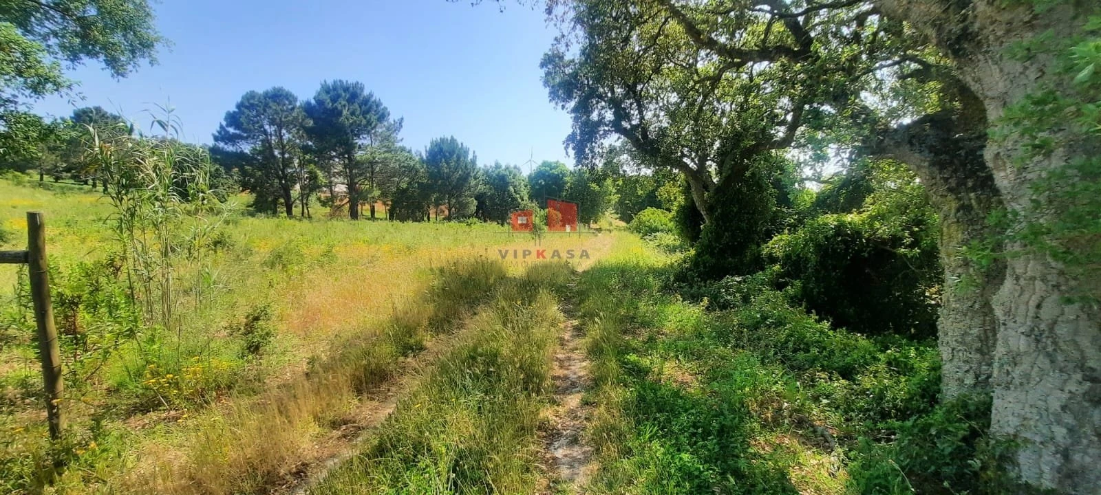 Terreno para Venda em Carvoeira e Carmões Foto 4