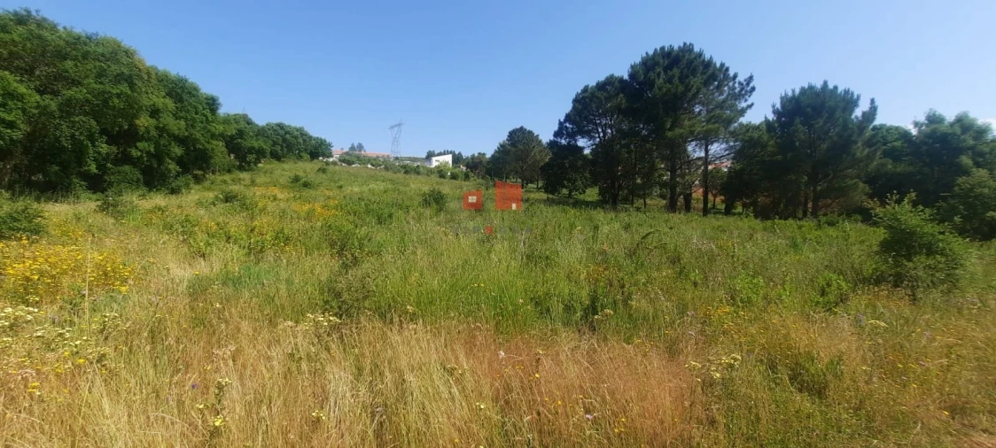 Terreno para Venda em Carvoeira e Carmões
