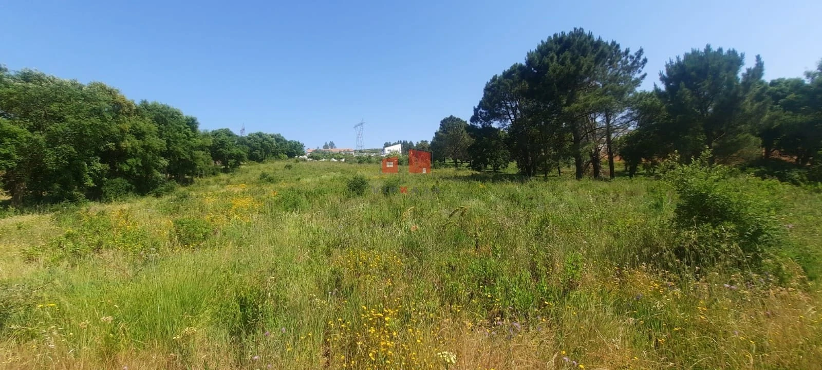 Terreno para Venda em Carvoeira e Carmões Foto 3