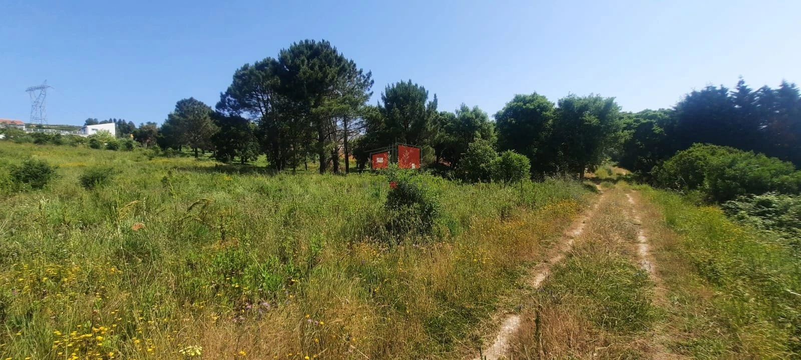 Terreno para Venda em Carvoeira e Carmões Foto 5