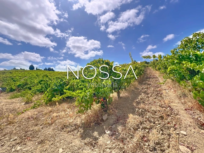 Quinta T8 para Venda em Cardosas Foto 5