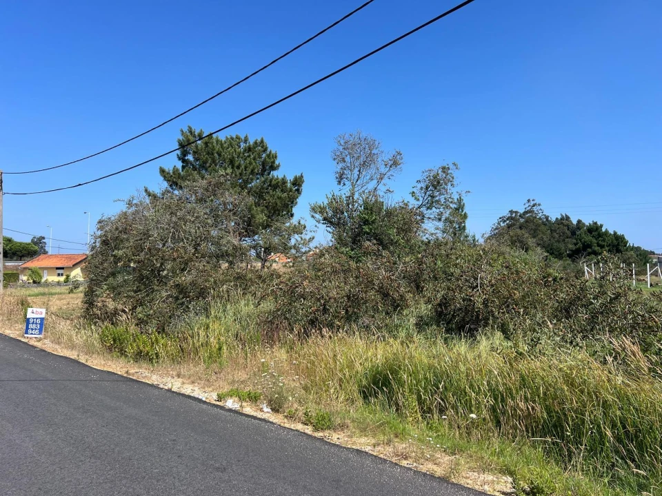 Terreno para Venda em Gafanha da Encarnação Foto 4