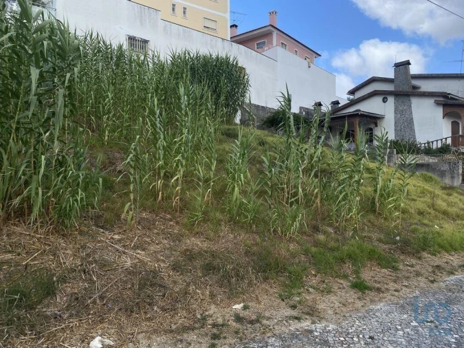 Terreno para Venda em Nossa Senhora da Piedade Foto 4