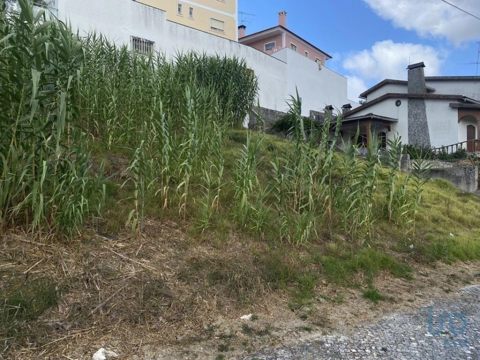 Terreno para Venda em Nossa Senhora da Piedade Foto 4