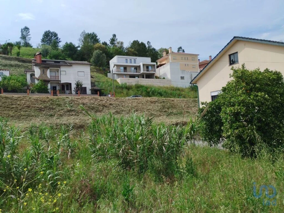 Terreno para Venda em Nossa Senhora da Piedade Foto 5