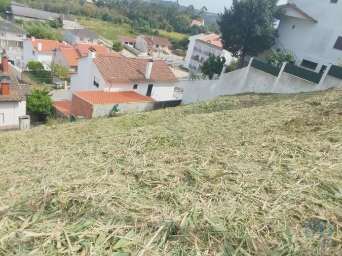 Terreno para Venda em Nossa Senhora da Piedade Foto 4