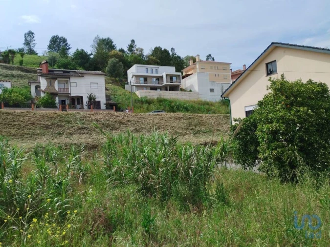 Terreno para Venda em Nossa Senhora da Piedade Foto 5