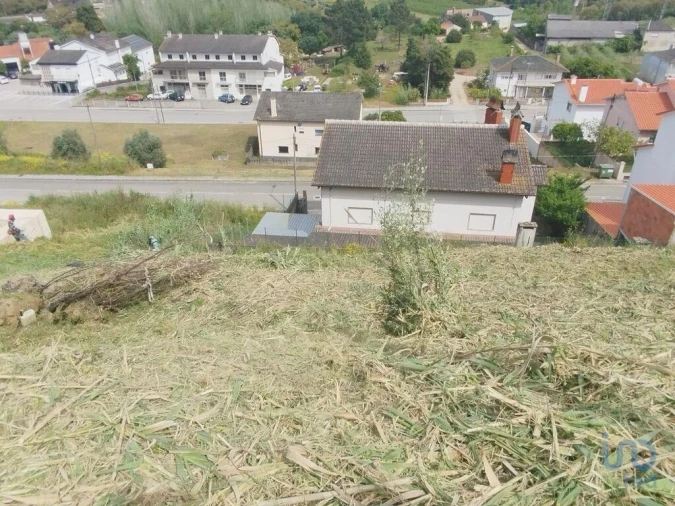 Terreno para Venda em Nossa Senhora da Piedade Foto 3