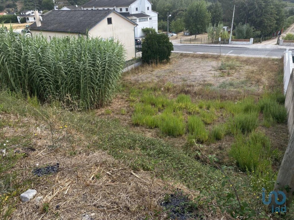 Terreno para Venda em Nossa Senhora da Piedade Foto 4