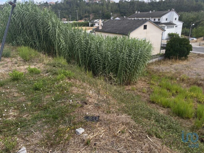 Terreno para Venda em Nossa Senhora da Piedade Foto 5
