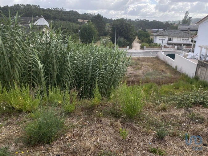 Terreno para Venda em Nossa Senhora da Piedade Foto 3