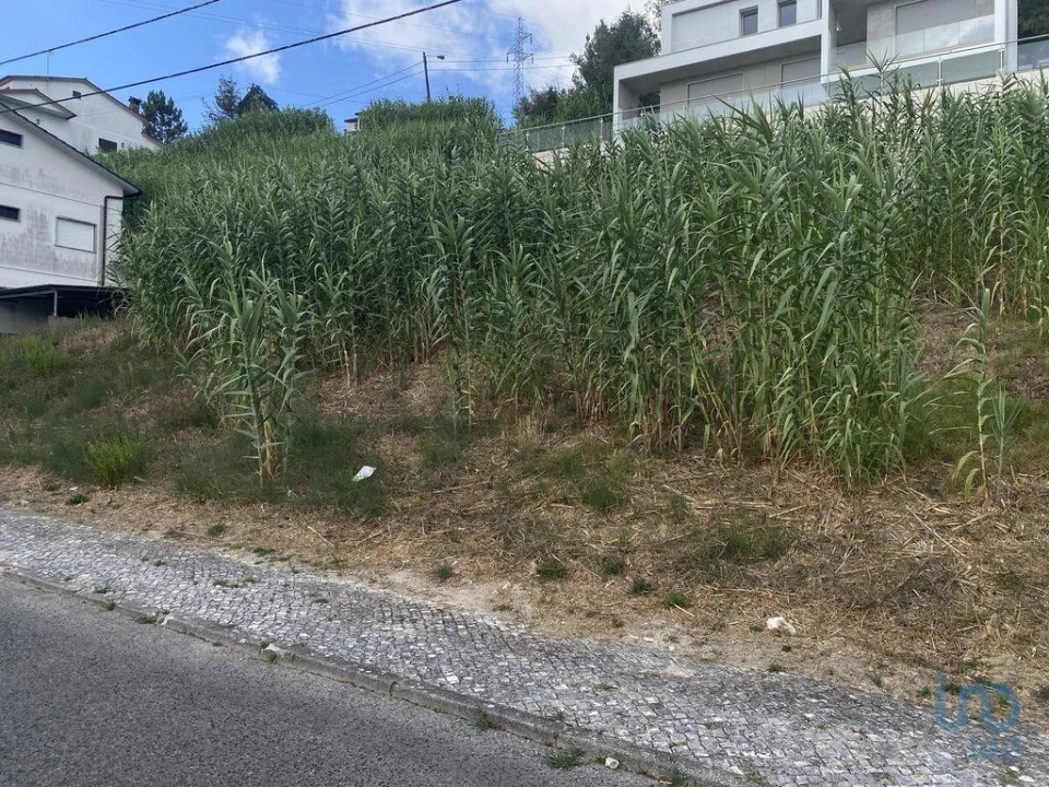 Terreno para Venda em Nossa Senhora da Piedade Foto 3