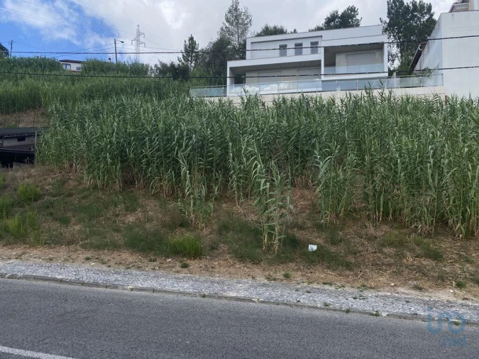 Terreno para Venda em Nossa Senhora da Piedade Foto 4