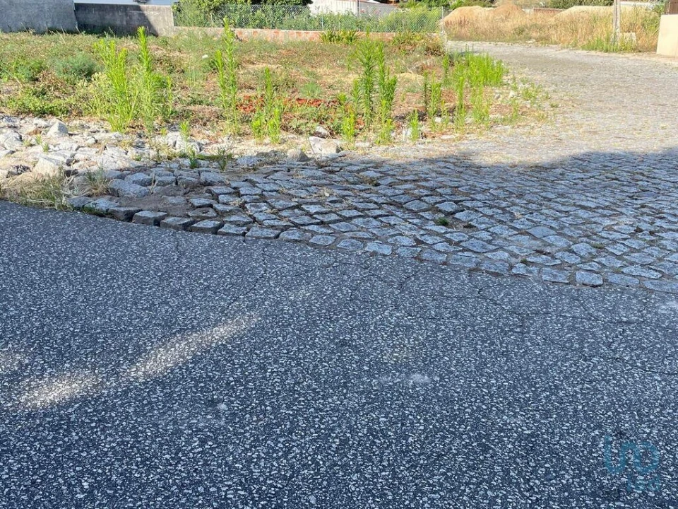 Terreno para Venda em Antas Foto 13