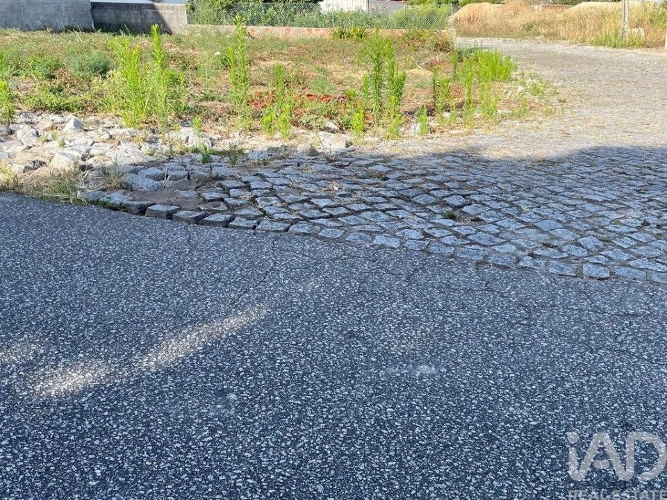 Terreno para Venda em Antas Foto 16