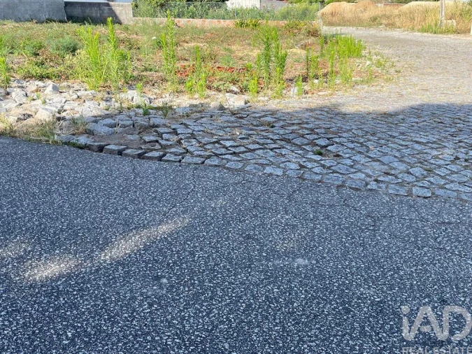 Terreno para Venda em Antas Foto 16