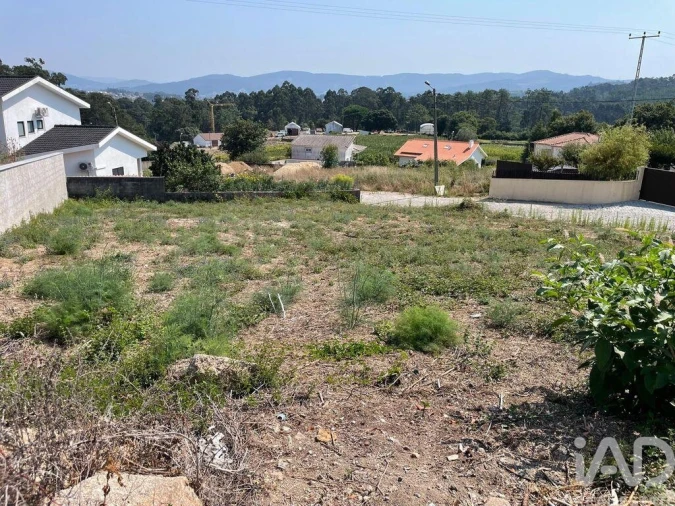 Terreno para Venda em Antas Foto 15