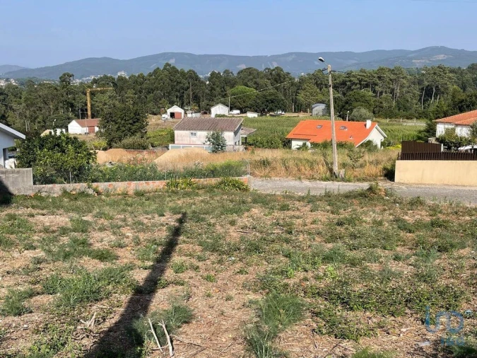 Terreno para Venda em Antas Foto 2