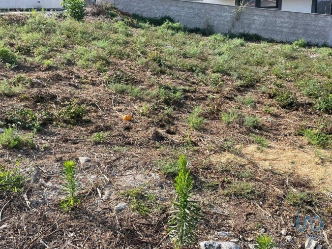 Terreno para Venda em Antas Foto 12