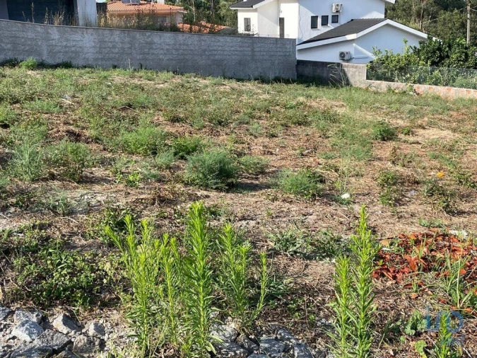 Terreno para Venda em Antas Foto 8