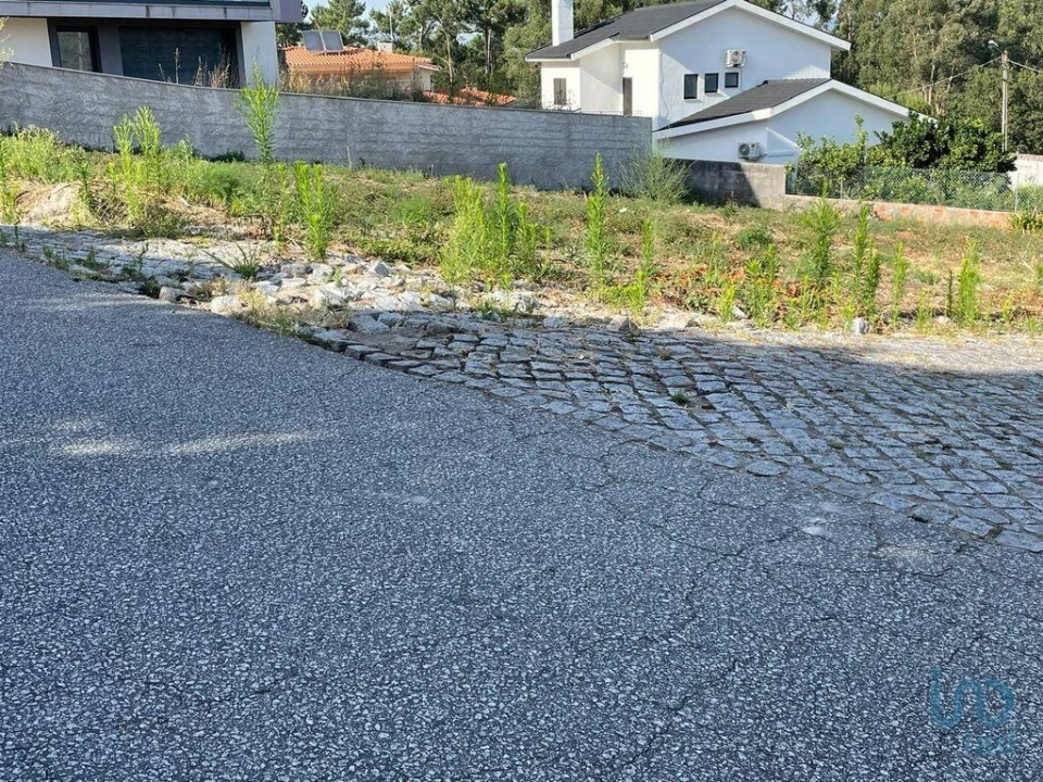 Terreno para Venda em Antas Foto 10