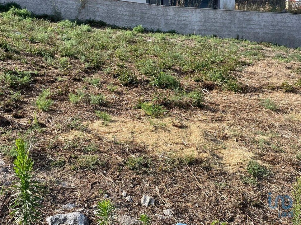 Terreno para Venda em Antas Foto 9