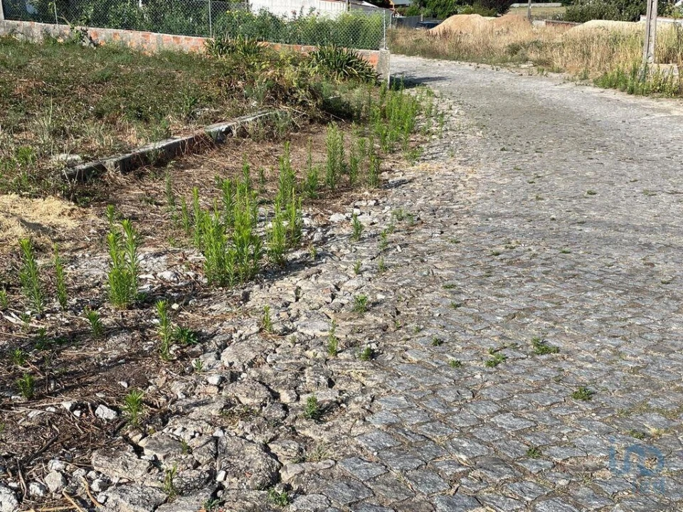 Terreno para Venda em Antas Foto 11