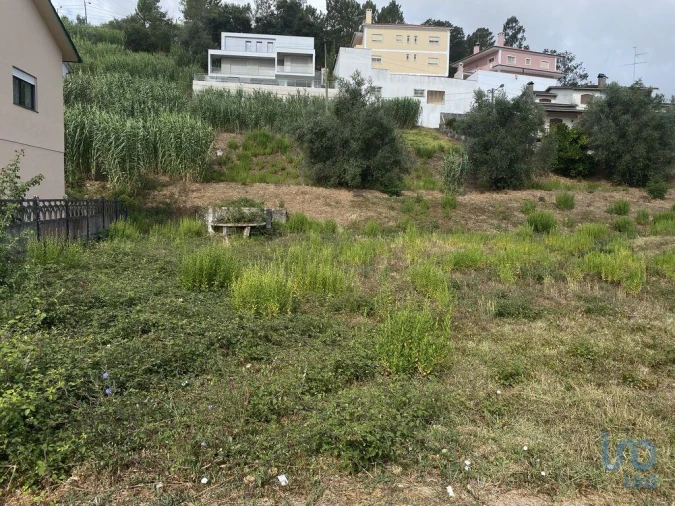 Terreno para Venda em Nossa Senhora da Piedade Foto 6