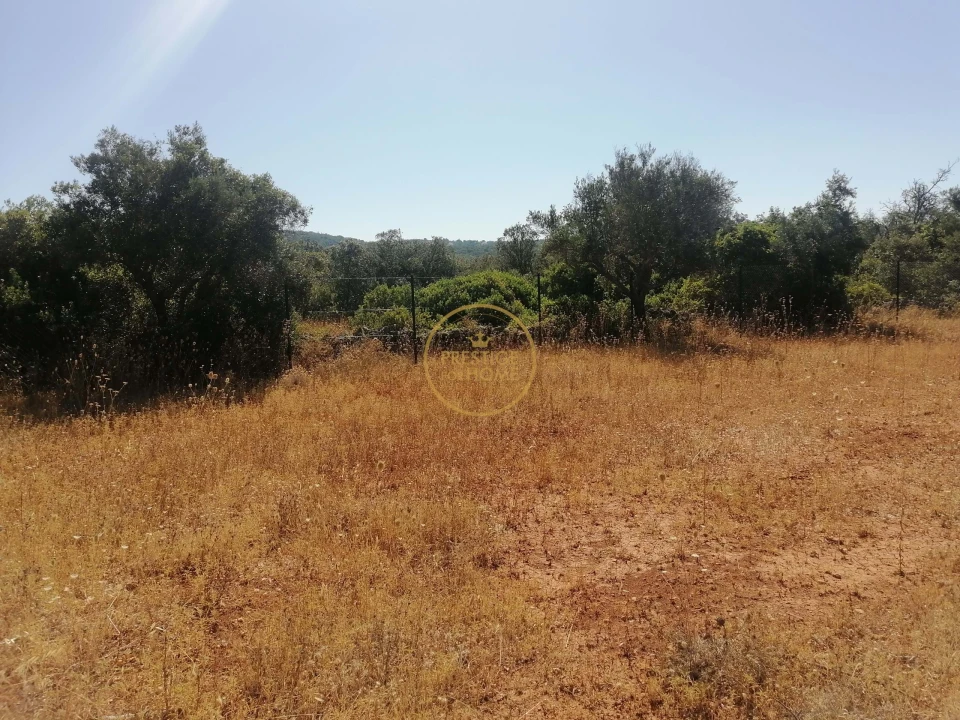 Terreno para Venda em Loule (São Clemente) Foto 7