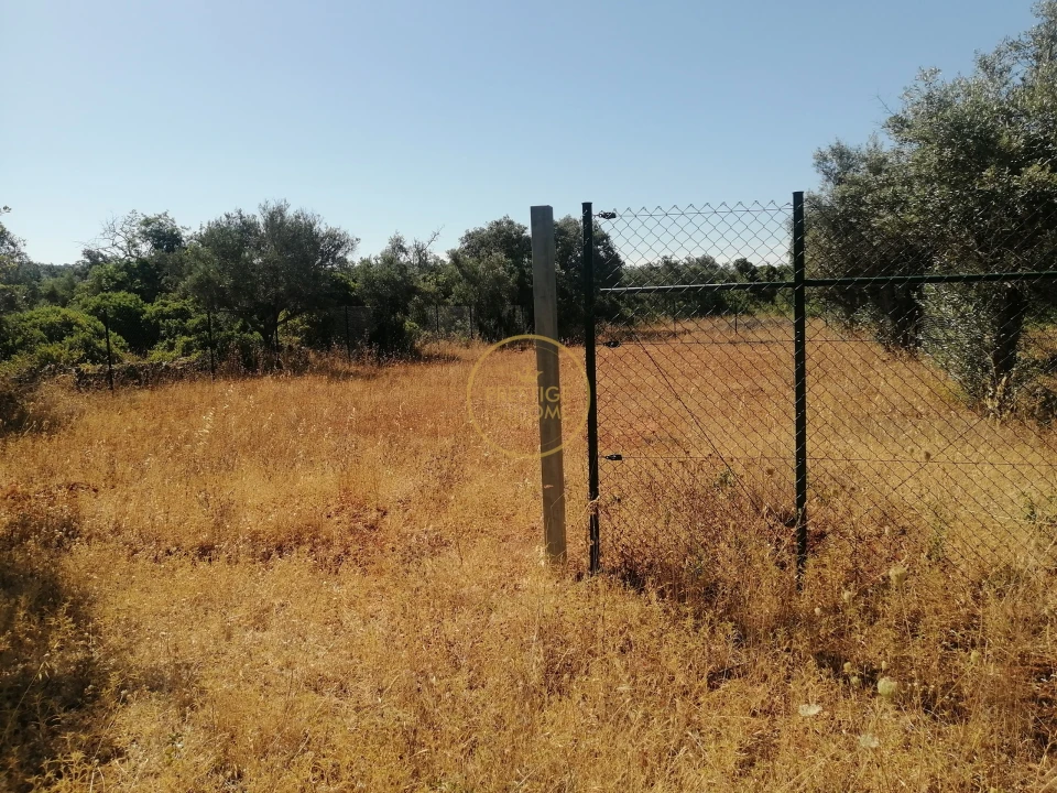 Terreno para Venda em Loule (São Clemente) Foto 1