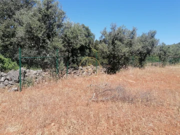 Terreno para Venda em Loule (São Clemente)