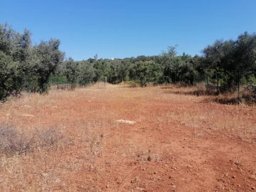 Terreno para Venda em Loule (São Clemente)