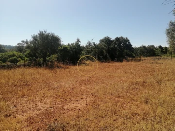 Terreno para Venda em Loule (São Clemente)