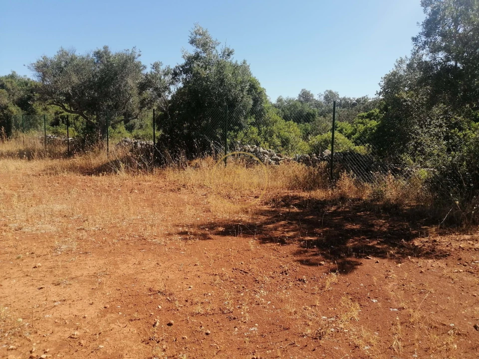 Terreno para Venda em Loule (São Clemente) Foto 4