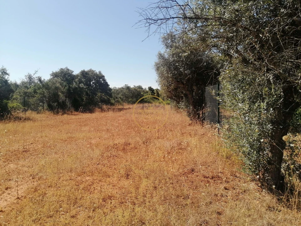 Terreno para Venda em Loule (São Clemente) Foto 9