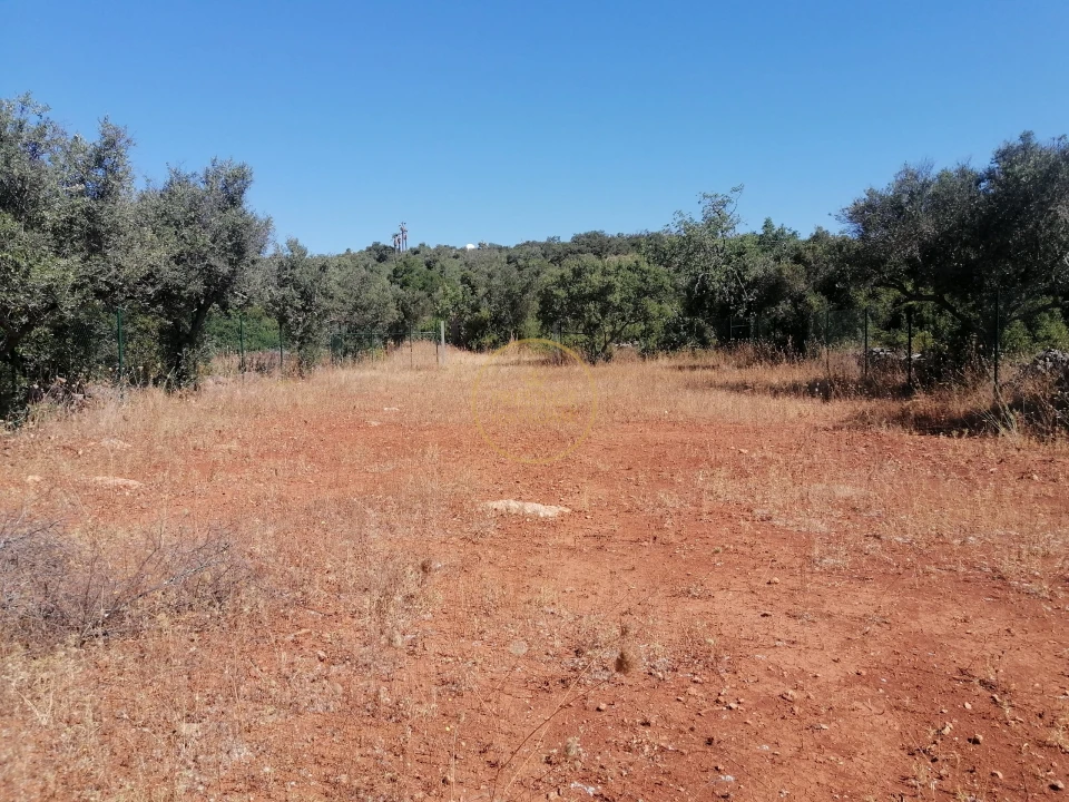 Terreno para Venda em Loule (São Clemente) Foto 3