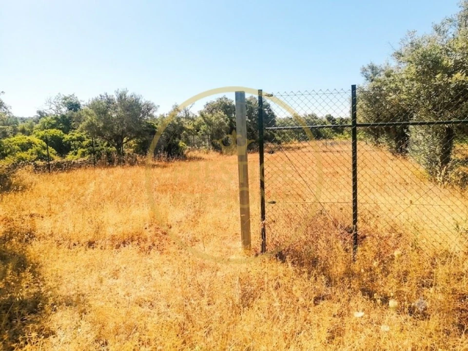 Terreno para Venda em Loule (São Clemente) Foto 1