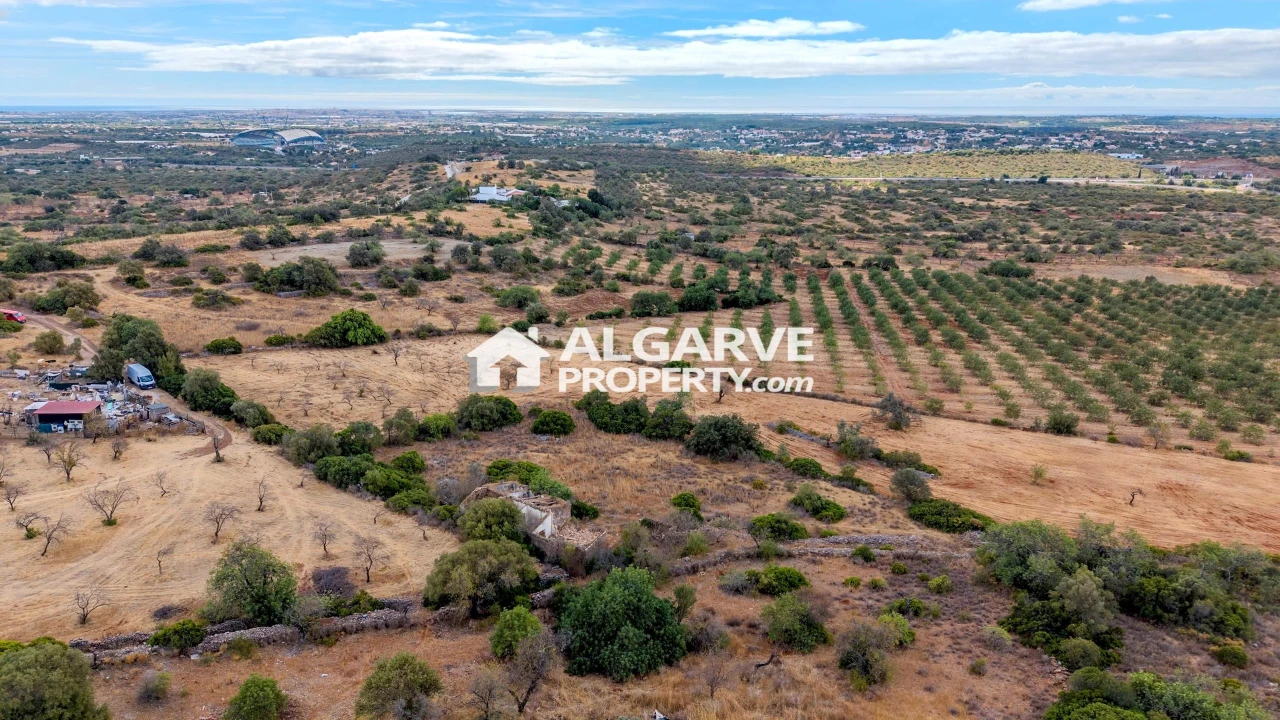 Terreno para Venda em Santa Barbara de Nexe Foto 15