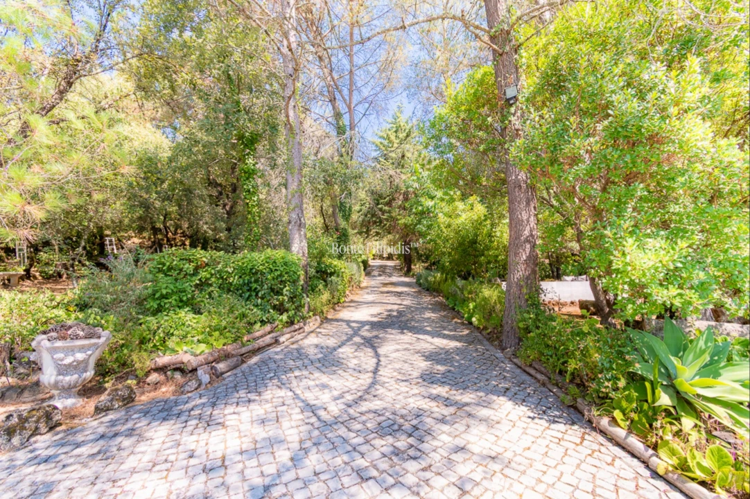 Quinta T7 para Venda em Cernache Foto 45