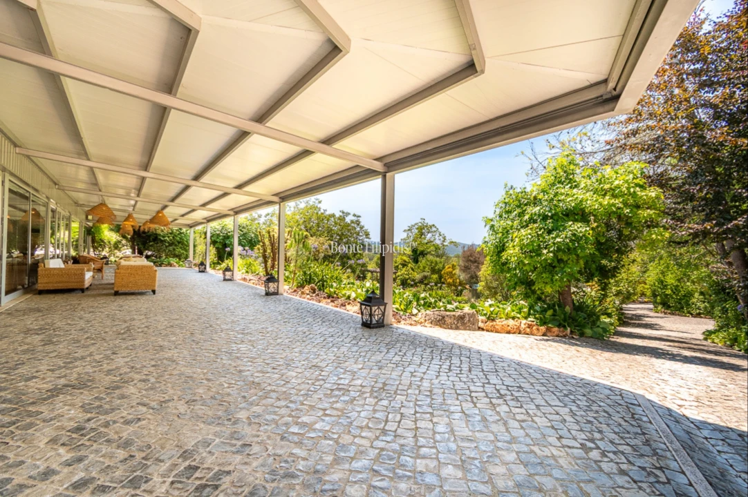 Quinta T7 para Venda em Cernache Foto 49